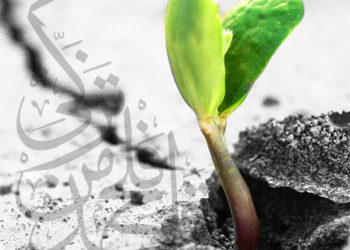 تطبيقات تربوية - العبادات وتوظيف الانفعالات